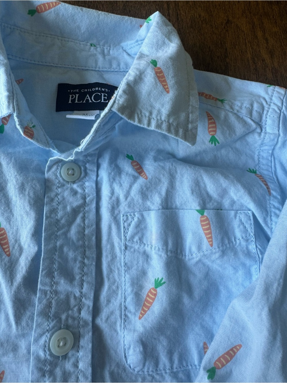 The Children's Place Pale Blue Button-Up Shirt with Carrot Print